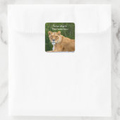 ライオン「この本はステッカーのものだ」 スクエアシール (バッグ)