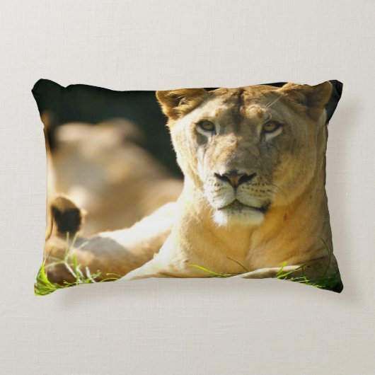 ライオン アクセントクッション (正面)