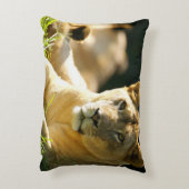 ライオン アクセントクッション (裏面(縦))