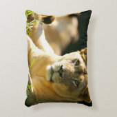 ライオン アクセントクッション (正面(垂直))