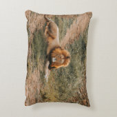 ライオン アクセントクッション (裏面(縦))