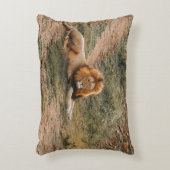 ライオン アクセントクッション (正面(垂直))