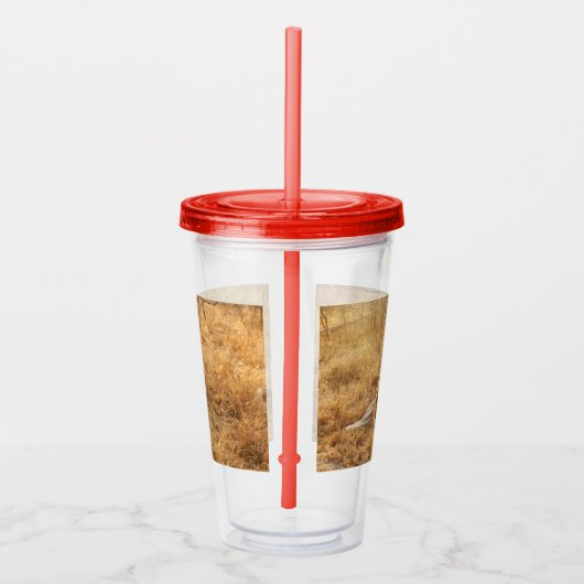 ライオン アクリルタンブラー (右)