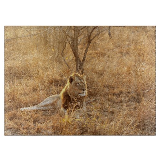 ライオン カッティングボード (正面)