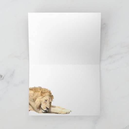 ライオン&カード カード (内部)