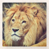 ライオン ガラスコースター (正面)