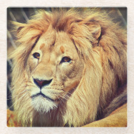 ライオン ガラスコースター