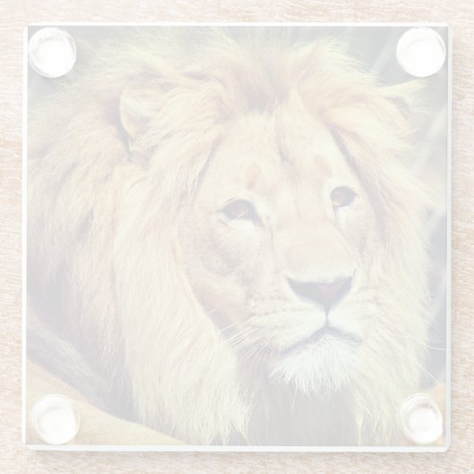 ライオン ガラスコースター (裏面)