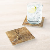 ライオン ガラスコースター (アングル)