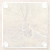 ライオン ガラスコースター (裏面)