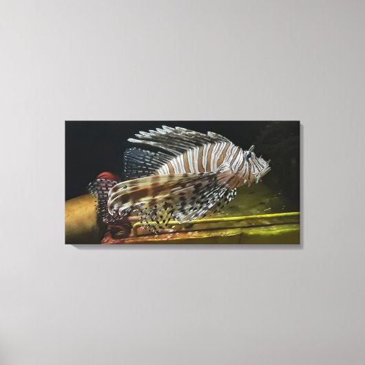 ライオン キャンバスプリント (正面)