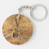 ライオン キーホルダー (裏面)