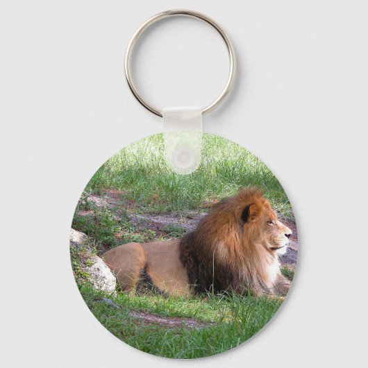 ライオン キーホルダー (正面)