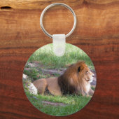 ライオン キーホルダー (正面)