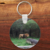 ライオン キーホルダー (正面)