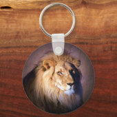 ライオン キーホルダー (正面)