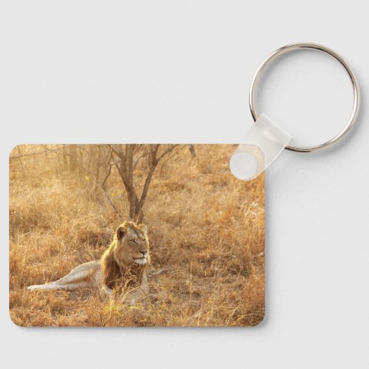 ライオン キーホルダー (正面)