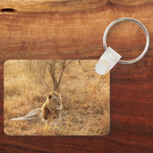 ライオン キーホルダー (正面)