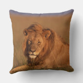 ライオン クッション (裏面)