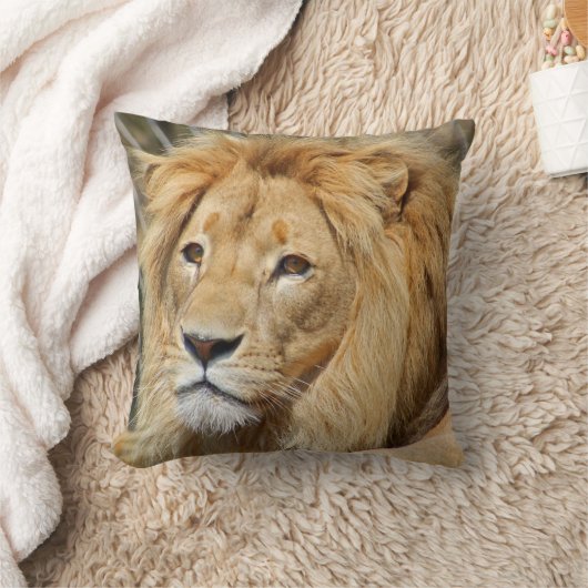 ライオン クッション (ブランケット)