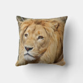 ライオン クッション (裏面)