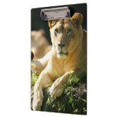 ライオン クリップボード (左)