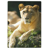 ライオン クリップボード (裏面)