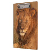 ライオン クリップボード (左)