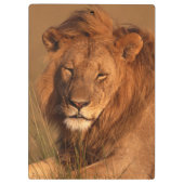 ライオン クリップボード (裏面)