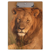 ライオン クリップボード (正面)