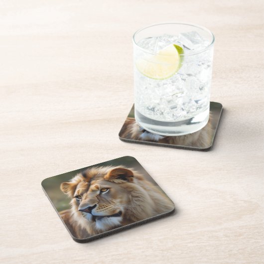 ライオン コースター (右側)