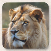 ライオン コースター (正面)