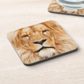 ライオン コースター (左側)