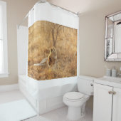 ライオン シャワーカーテン (インサイチュ)