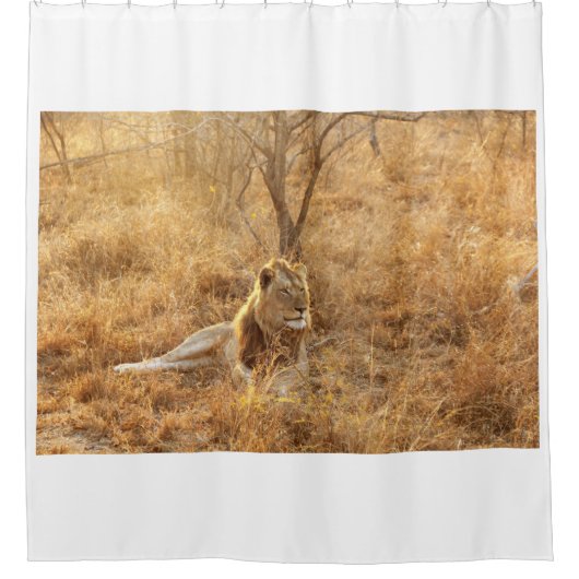 ライオン シャワーカーテン (正面)