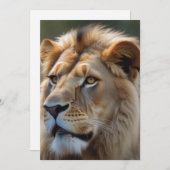 ライオン シーズンカード (正面/裏面)