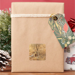 ライオン スクエアシール