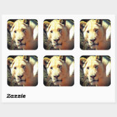 ライオン スクエアシール (シート)