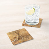 ライオン スクエアペーパーコースター (インサイチュ)