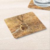 ライオン スクエアペーパーコースター (アングル)