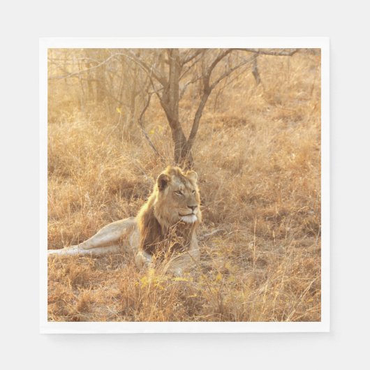 ライオン スタンダードランチョンナプキン (正面)