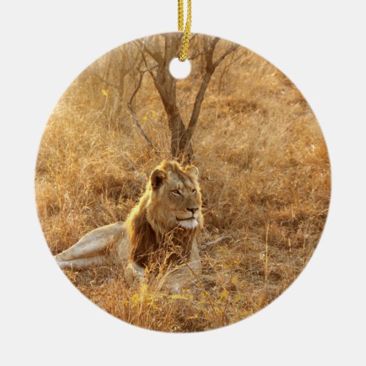 ライオン セラミックオーナメント (正面)