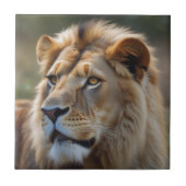 ライオン タイル (正面)