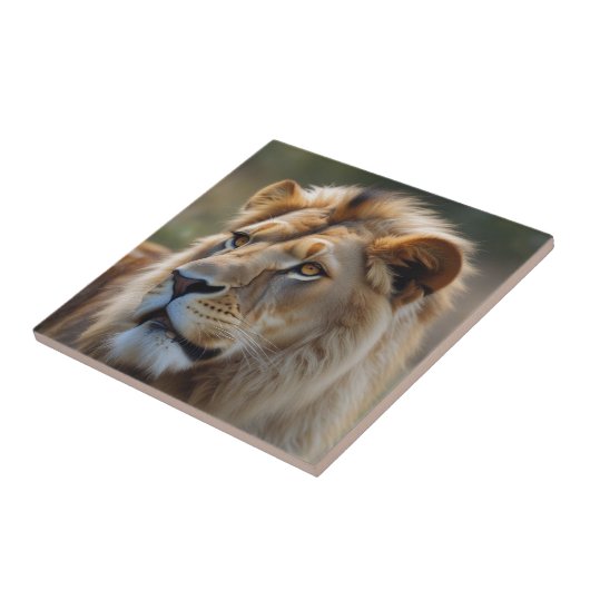 ライオン タイル (側面)