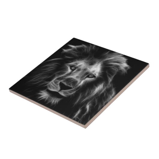 ライオン タイル (側面)