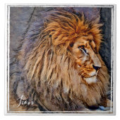 ライオン タイル (正面)
