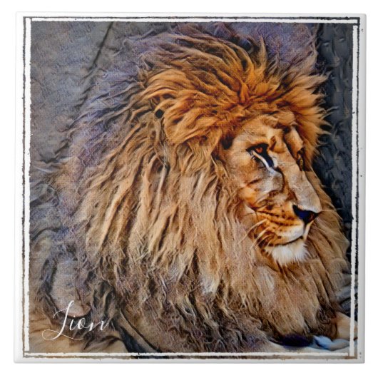 ライオン タイル (正面)