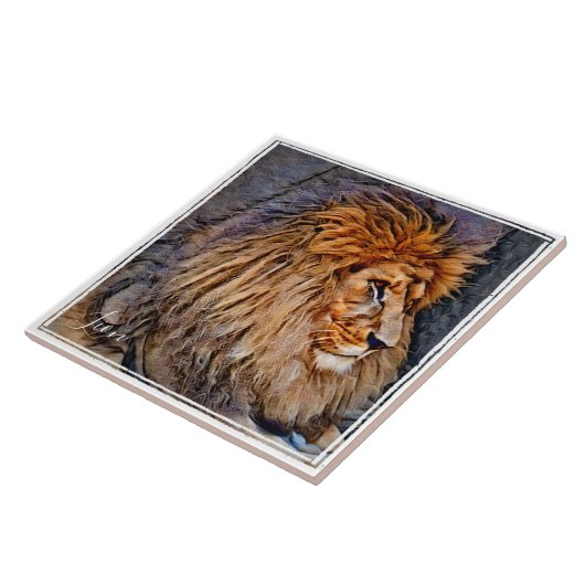 ライオン タイル (側面)