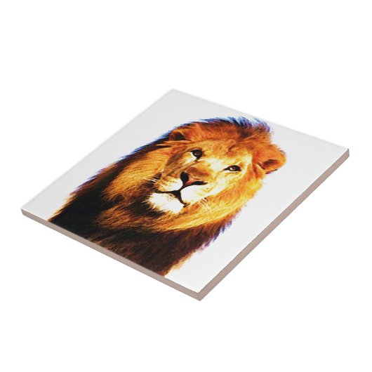 ライオン タイル (側面)