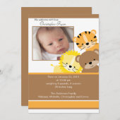 ライオン、トラ、クマ 赤ちゃん写真 出生発表カード 案内状 (正面/裏面)